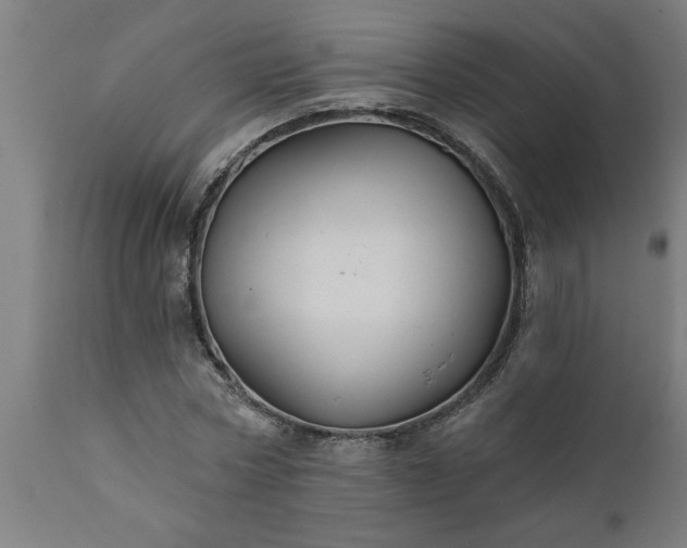 X0000111820778200907301256
