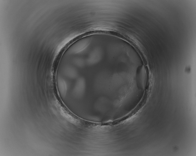 X0000111820779200907301256
