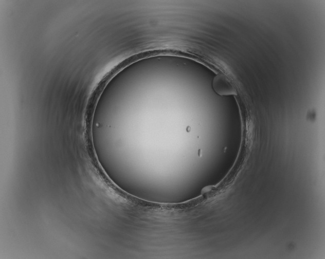 X0000111820780200907301256