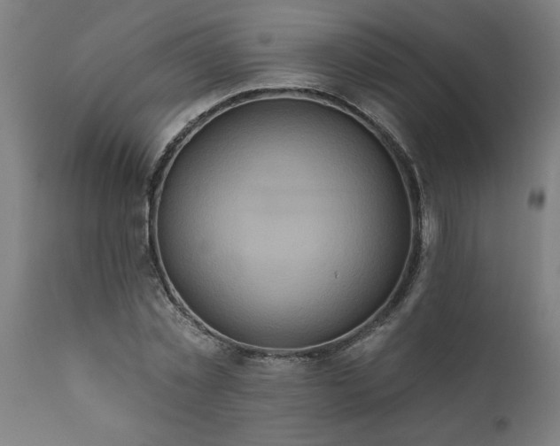 X0000111820781200907301256
