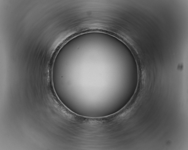 X0000111820782200907301256