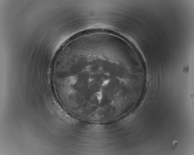 X0000111820783200907301256