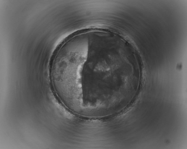 X0000111820784200907301256