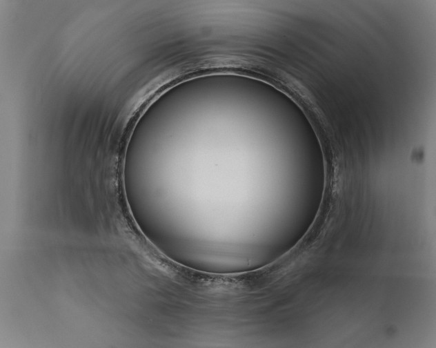 X0000111820786200907301256