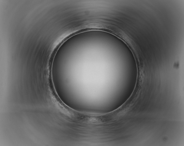 X0000111820787200907301256