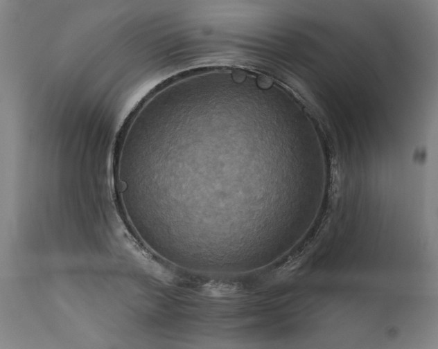 X0000111820788200907301256