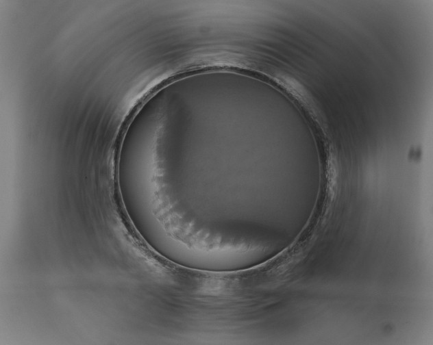 X0000111820790200907301256