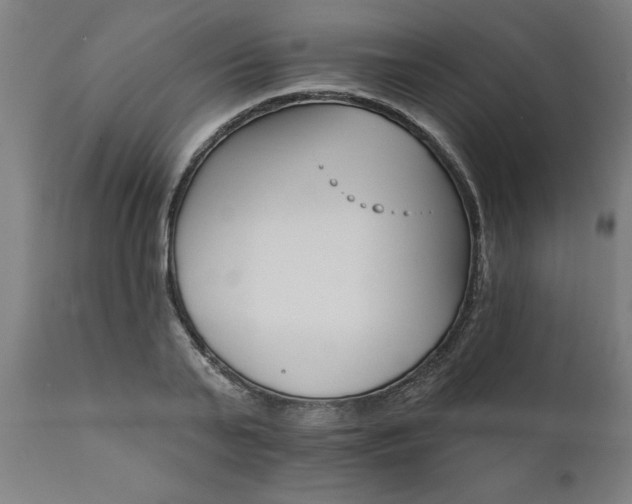 X0000111820791200907301256
