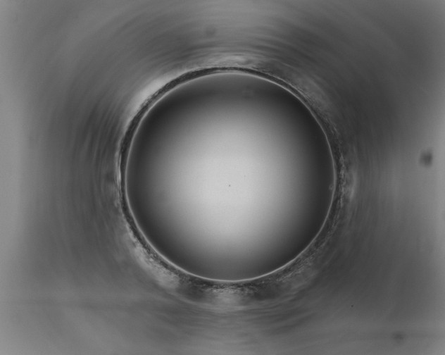 X0000111820792200907301256