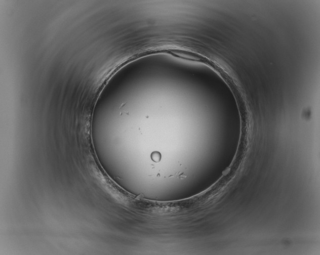 X0000111820793200907301256
