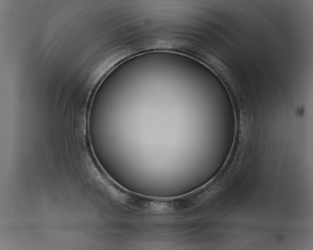 X0000111820794200907301255
