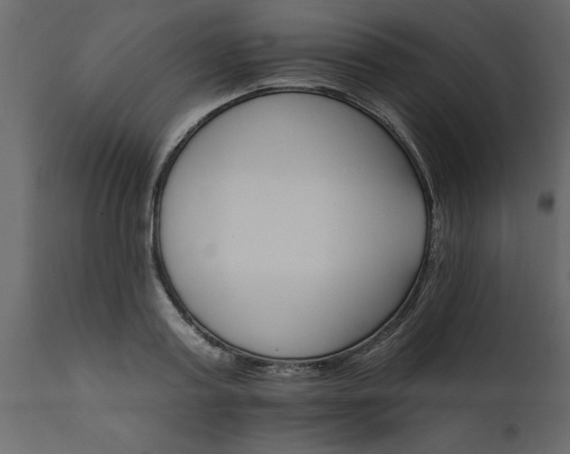 X0000111820795200907301255