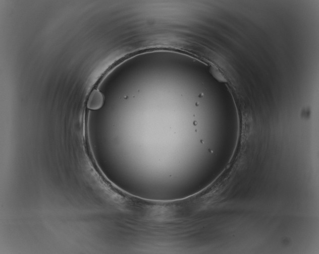 X0000111820796200907301255
