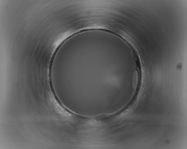 X0000111820797200907301255