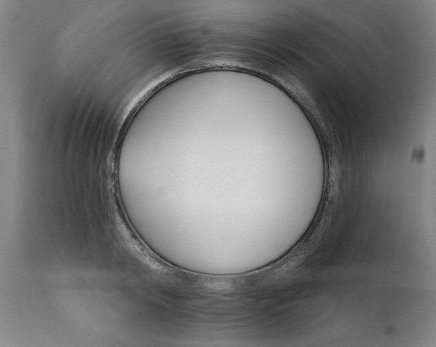 X0000111820798200907301255