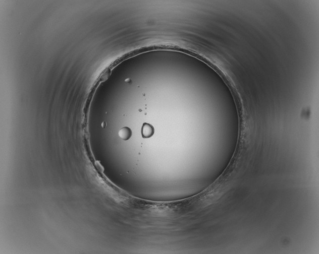 X0000111820799200907301255