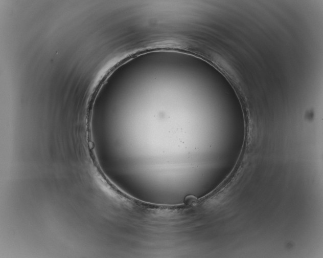 X0000111820800200907301255