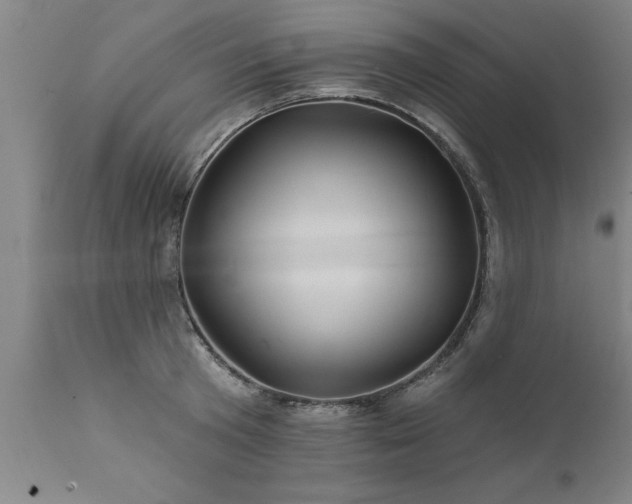 X0000111820801200907301255