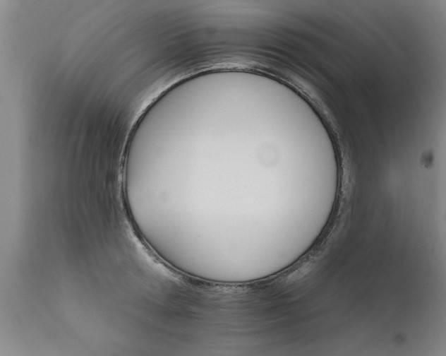 X0000111820802200907301255