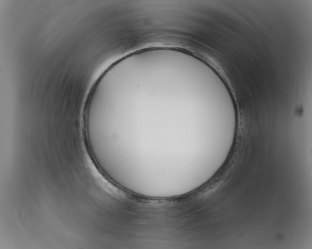 X0000111820803200907301255