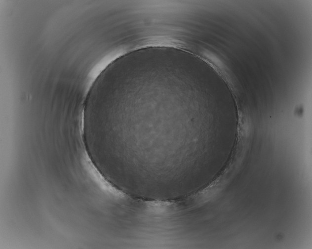 X0000111820804200907301255