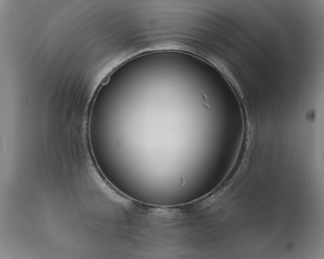 X0000111820805200907301255