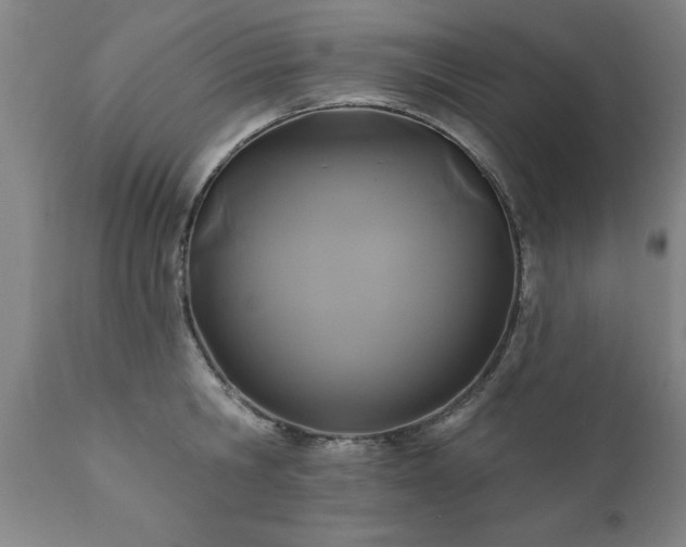 X0000111820806200907301255