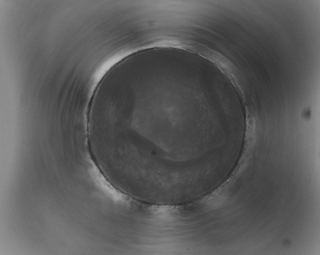 X0000111820808200907301255