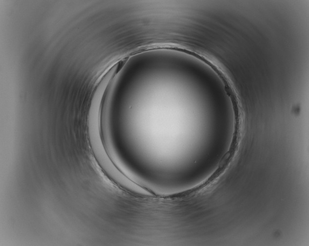 X0000111820809200907301255