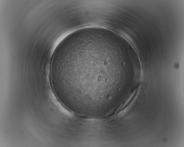 X0000111820812200907301255