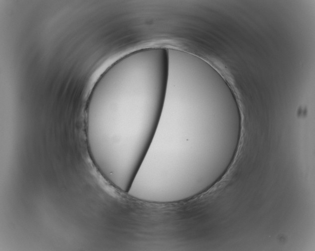 X0000111820816200907301255