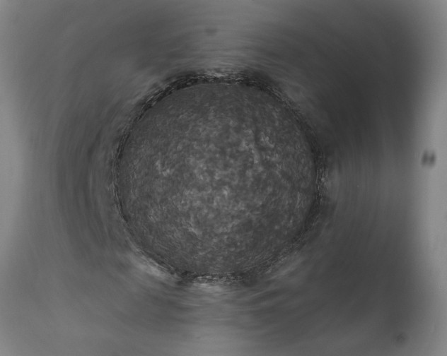 X0000111820817200907301254