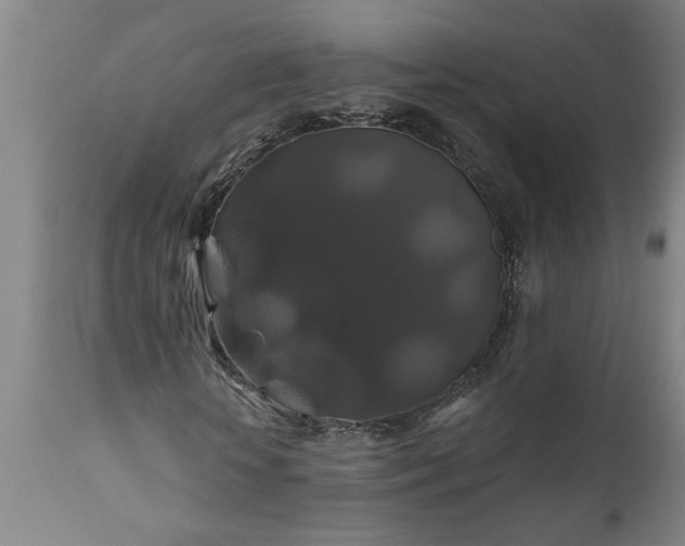 X0000111820818200907301254