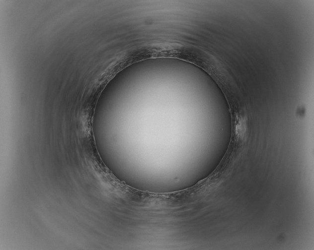X0000111820819200907301254