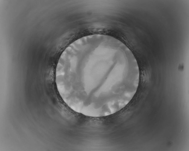 X0000111820820200907301254