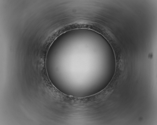 X0000111820821200907301254