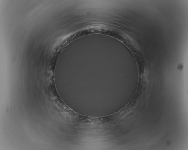 X0000111820822200907301254