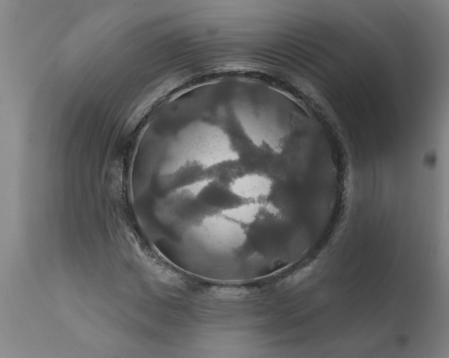 X0000111820825200907301254