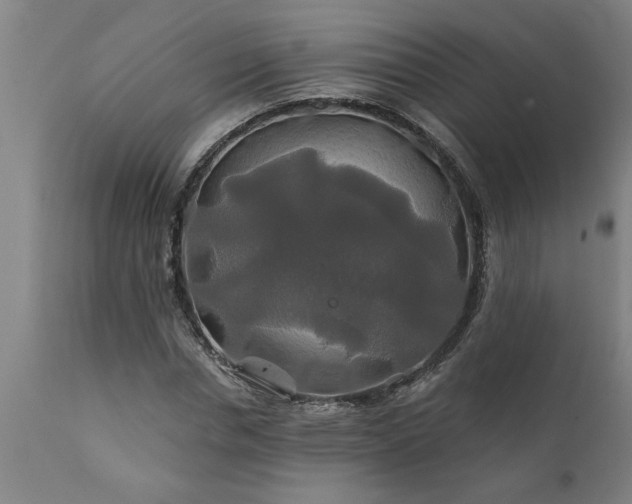 X0000111820826200907301254