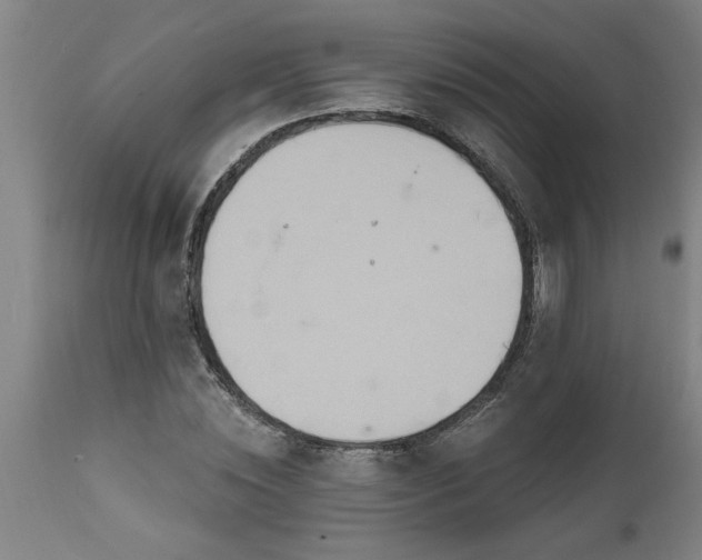 X0000111820828200907301254