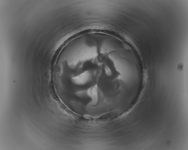 X0000111820829200907301254