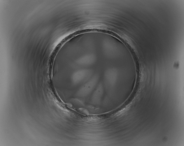 X0000111820830200907301254