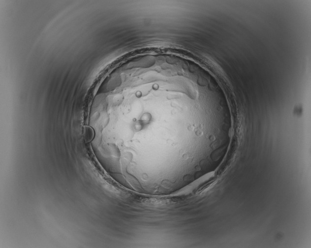 X0000111820831200907301254