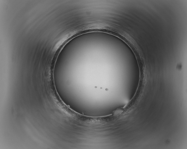 X0000111820834200907301255