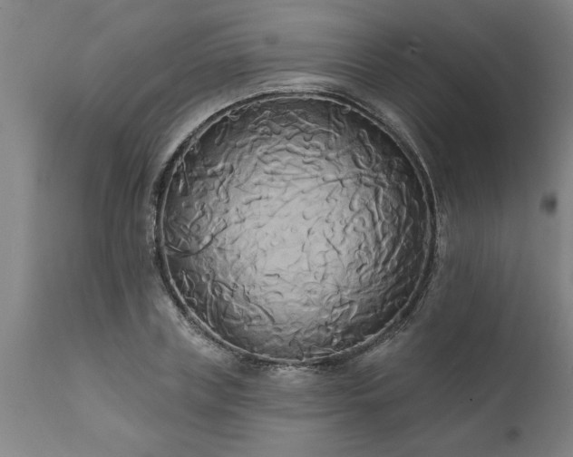 X0000111820835200907301255