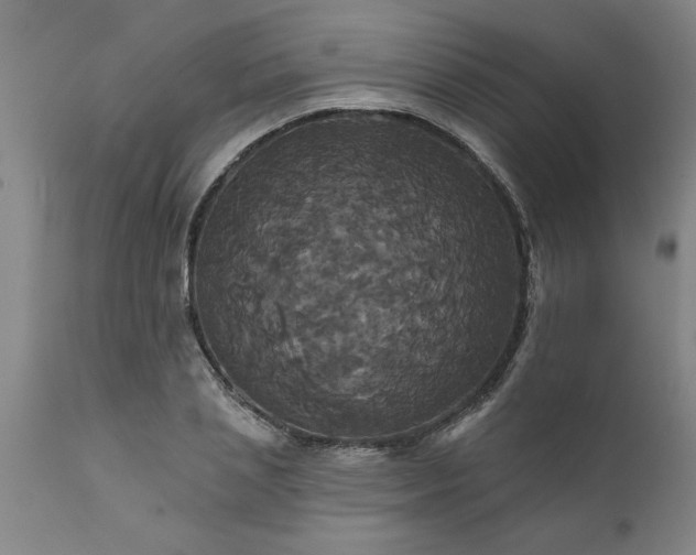 X0000111820837200907301255
