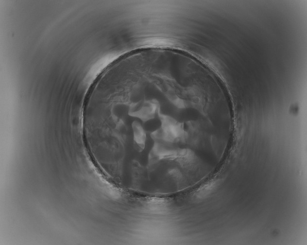 X0000111820839200907301255