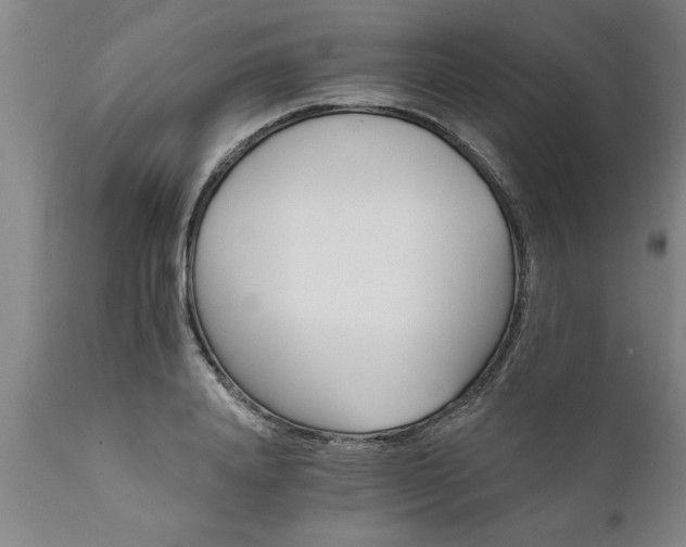 X0000111820840200907301255