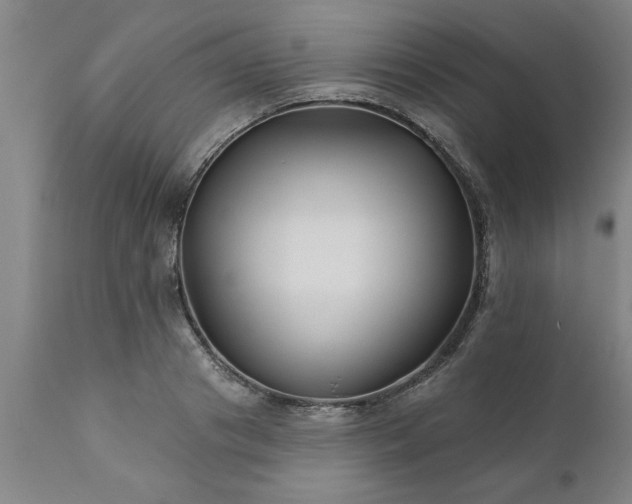 X0000111820841200907301255