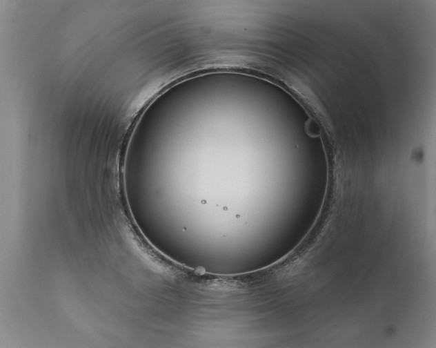 X0000111820842200907301255